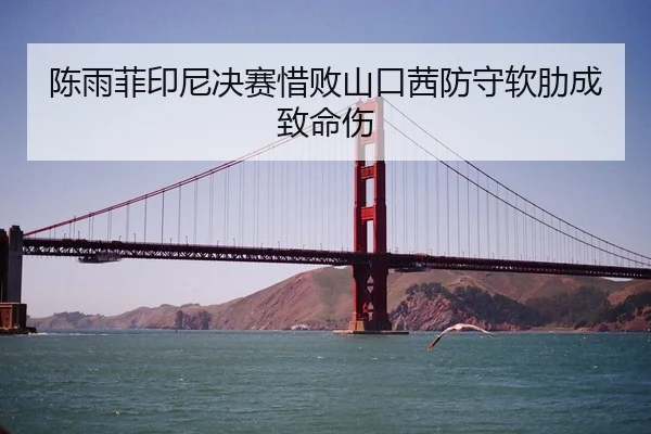 陈雨菲印尼决赛惜败山口茜防守软肋成致命伤