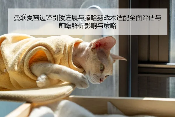 曼联夏窗边锋引援进展与滕哈赫战术适配全面评估与前瞻解析影响与策略