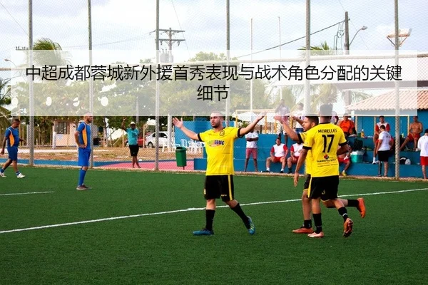 zhong-chao-cheng-du-rong-cheng-xin-wai-yuan-shou-xiu-biao-xian-yu-zhan-shu-jue-se-fen-pei-de-guan-jian-xi-jie-2-734.jpg